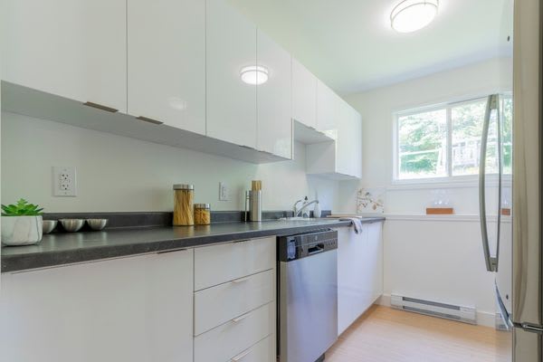 Ellerdale Apartments property